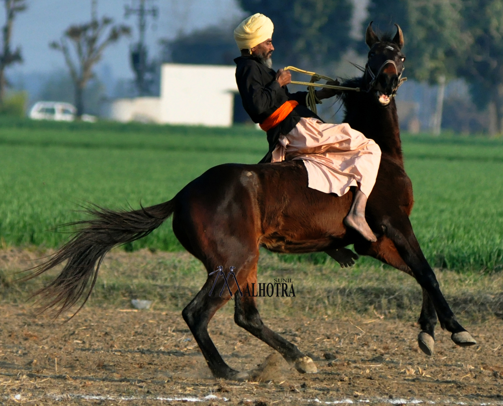 Punjab Rural Sport, India