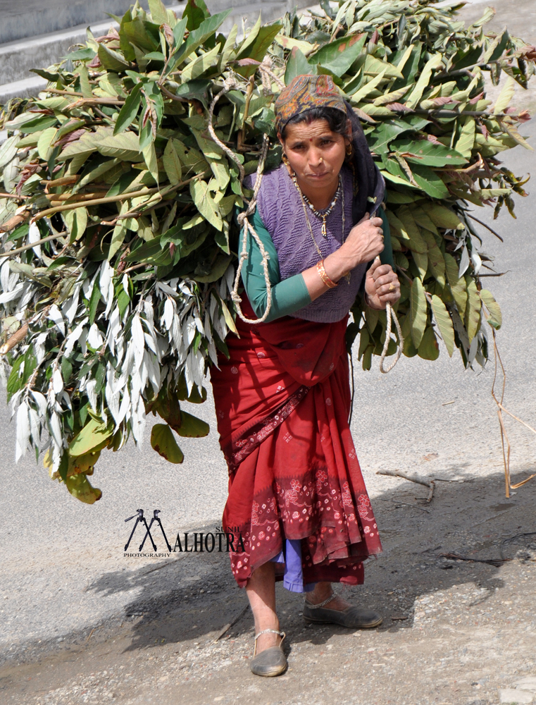 Himayala, India