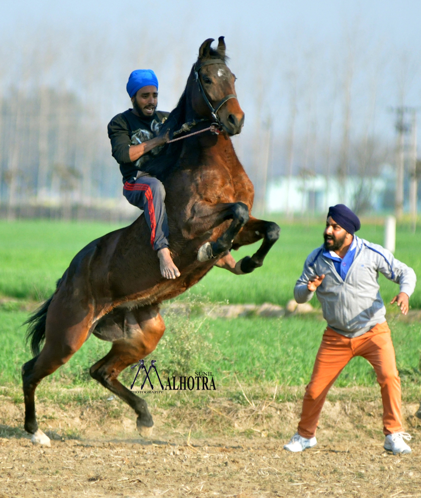 Punjab Rural Sport, India