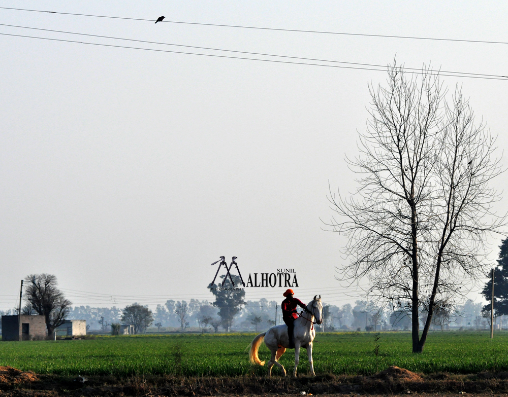 Punjab Rural Sport, India