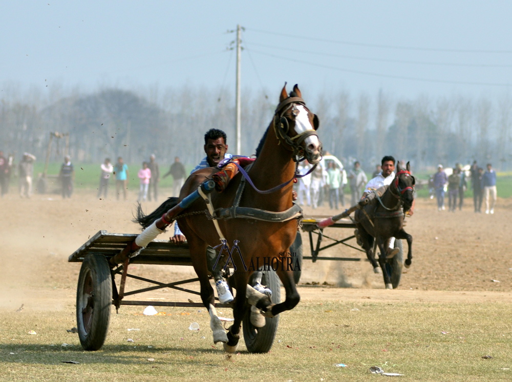 Punjab Rural Sport, India