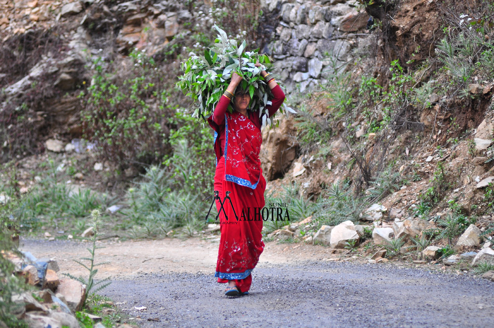 Women - Backbone of India, India